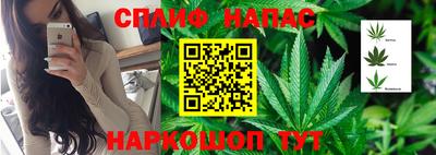 прущие грибы Балаково